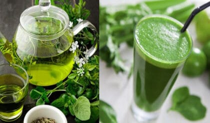 Chá ou suco para emagrecer?