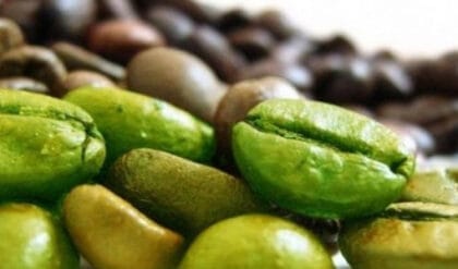 Benefícios do café verde